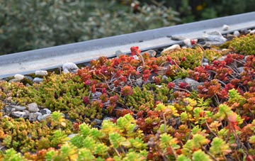 the cost of Burn green roof installation