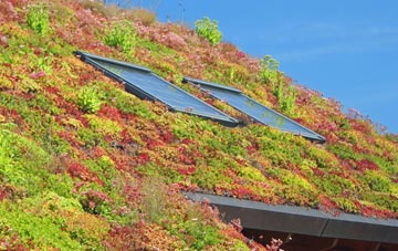 Burn living roof systems